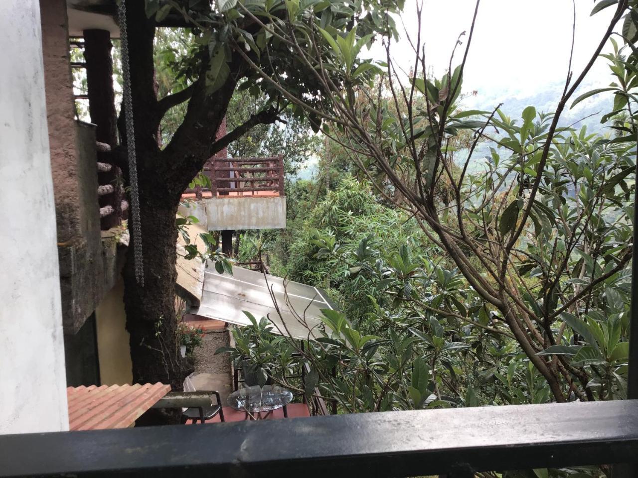 Wild Elephant Eco Friendly Resort Мунар Екстериор снимка